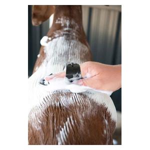 Brightener Whitening Livestock Shampoo 1 quart - Item # 32582
