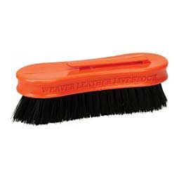 Pig Face Brush Orange - Item # 32597