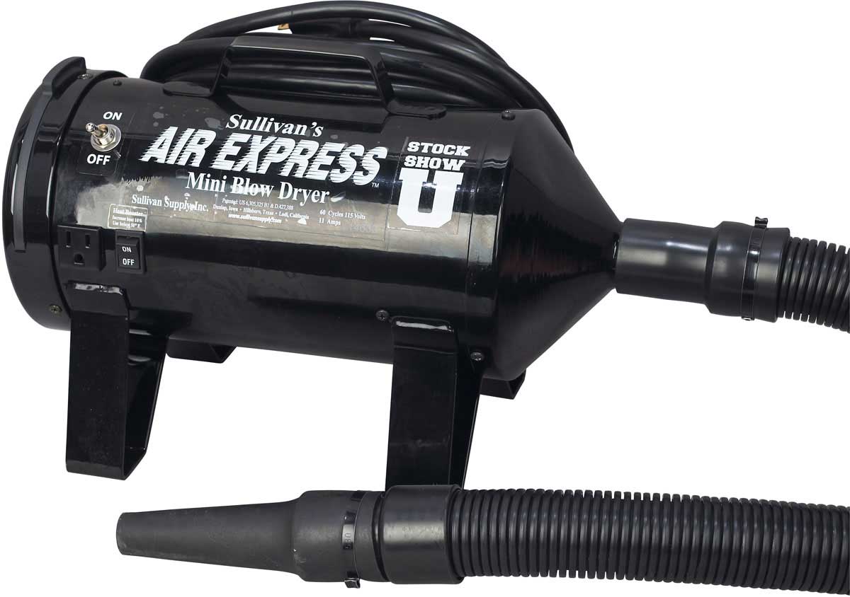 Mini blower Air Express