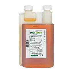 Evergreen Pro 60-6 Fly Insecticide Concentrate 1 quart - Item # 32606