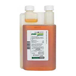 Evergreen Pro 60 6 Fly Insecticide Concentrate