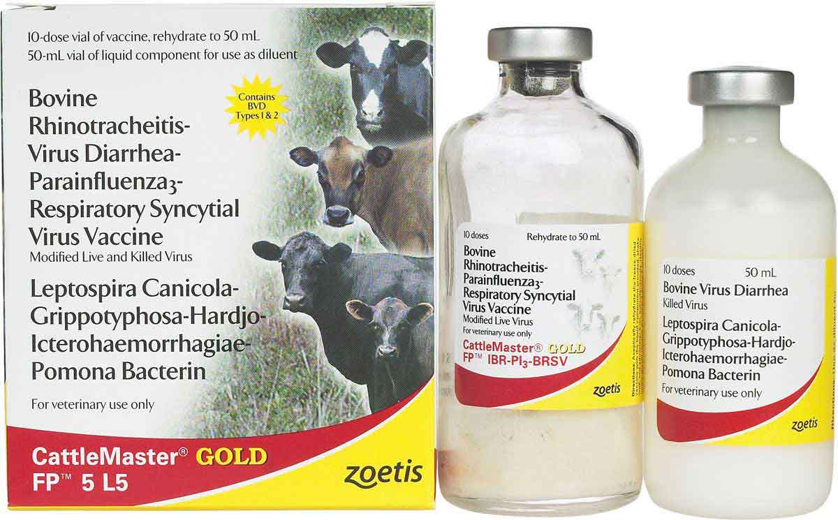 Вакцины для коров