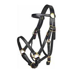 Standard Halter Bridle Black - Item # 33600