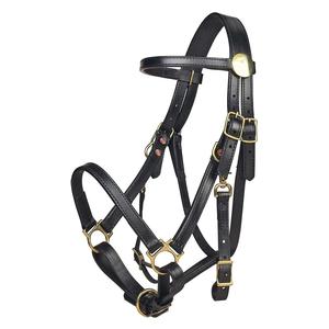 Standard Halter Bridle Black - Item # 33600