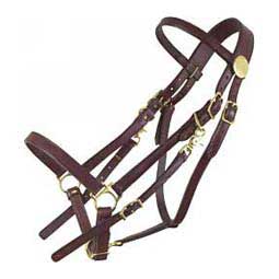 Standard Halter Bridle Brown - Item # 33600