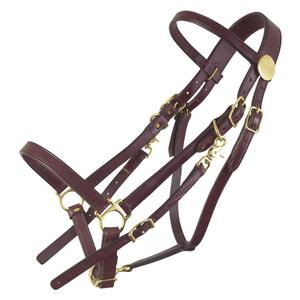 Standard Halter Bridle Brown - Item # 33600