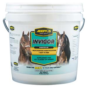 Invigor Digestive Aid for Horses 10 lb (80 days) - Item # 34086