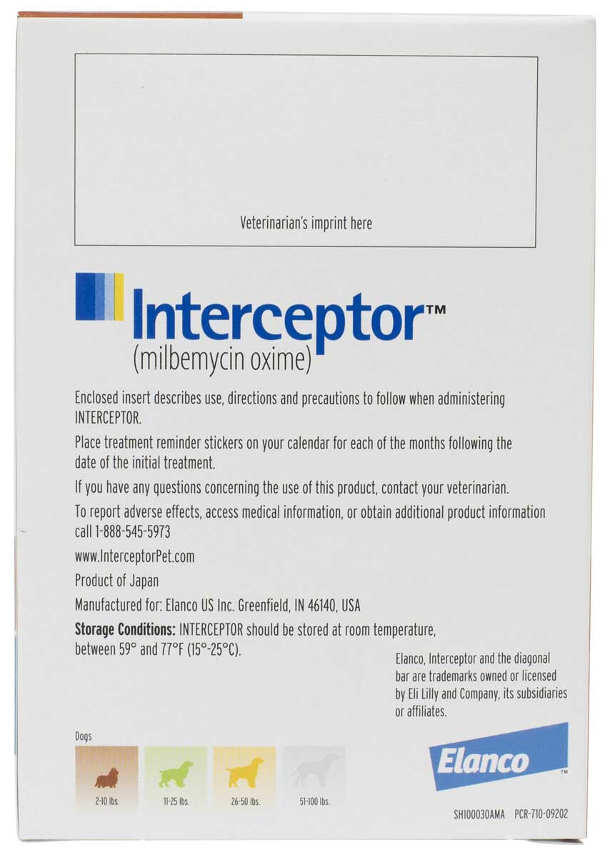 Interceptor cats best sale