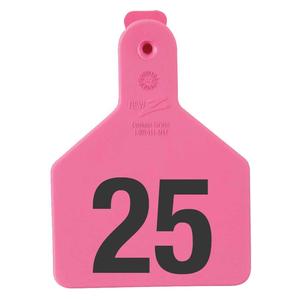 No-Snag Numbered Calf ID Ear Tags Pink - Item # 35138