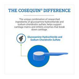 Cosequin Original Joint Health Supplement for Horses 280 gm - Item # 35351