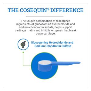 Cosequin Original Joint Health Supplement for Horses 280 gm - Item # 35351