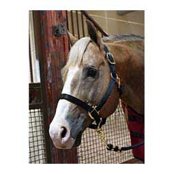 Nylon Horse Halter Black - Item # 35434
