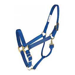 Nylon Horse Halter Blue - Item # 35434