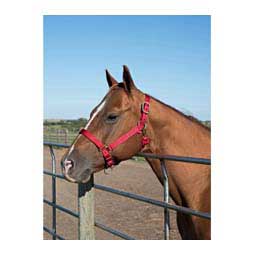 Nylon Horse Halter Red - Item # 35434