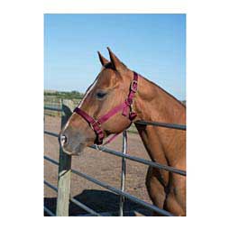 Nylon Horse Halter Burgundy - Item # 35434