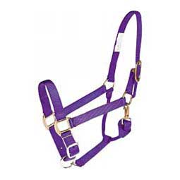 Nylon Horse Halter Purple - Item # 35434