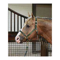 Nylon Horse Halter Hunter - Item # 35434