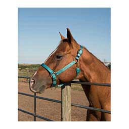Nylon Horse Halter Teal - Item # 35434