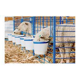 Wall Mount Lambing Pens (3 Pens) 6 x 5 x 3 1/2 ft - Item # 35624