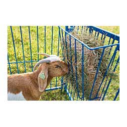 Metal Hay Basket for Goats 1 ct (20 in x 9 in x 20 1/4 in) - Item # 35669
