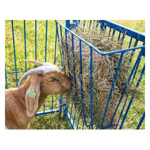 Metal Hay Basket for Goats 1 ct (20 in x 9 in x 20 1/4 in) - Item # 35669