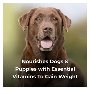 Dyne High Calorie Liquid Nutritional Supplement for Dogs and Puppies 32 oz - Item # 35687