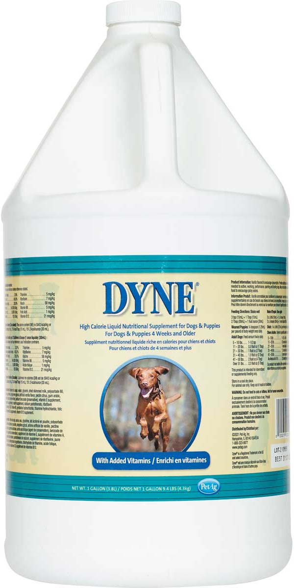 dyne liquid supplement