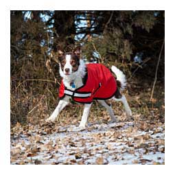 Waterproof Dog Coat Red/Black - Item # 35866