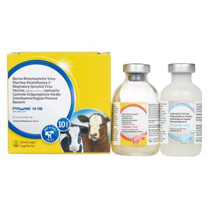 Pyramid 10 HB Cattle Vaccine 10 dose - Item # 35946