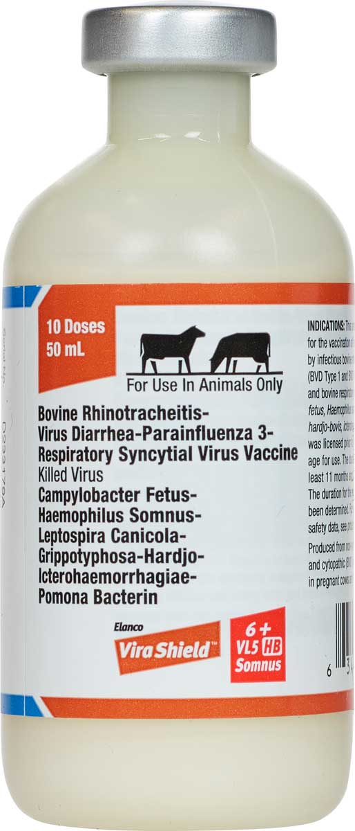 Vira Shield 6 + VL5 HB Somnus Cattle Vaccine