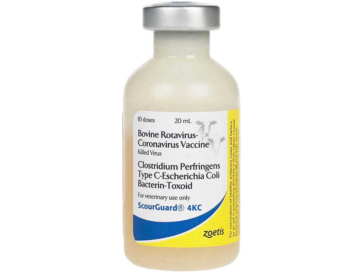 ScourGuard 4KC Cattle Vaccine Zoetis Animal Health - Valley Vet Supply ...