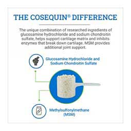 Cosequin Optimized with MSM for Horses 1400 gm - Item # 36131