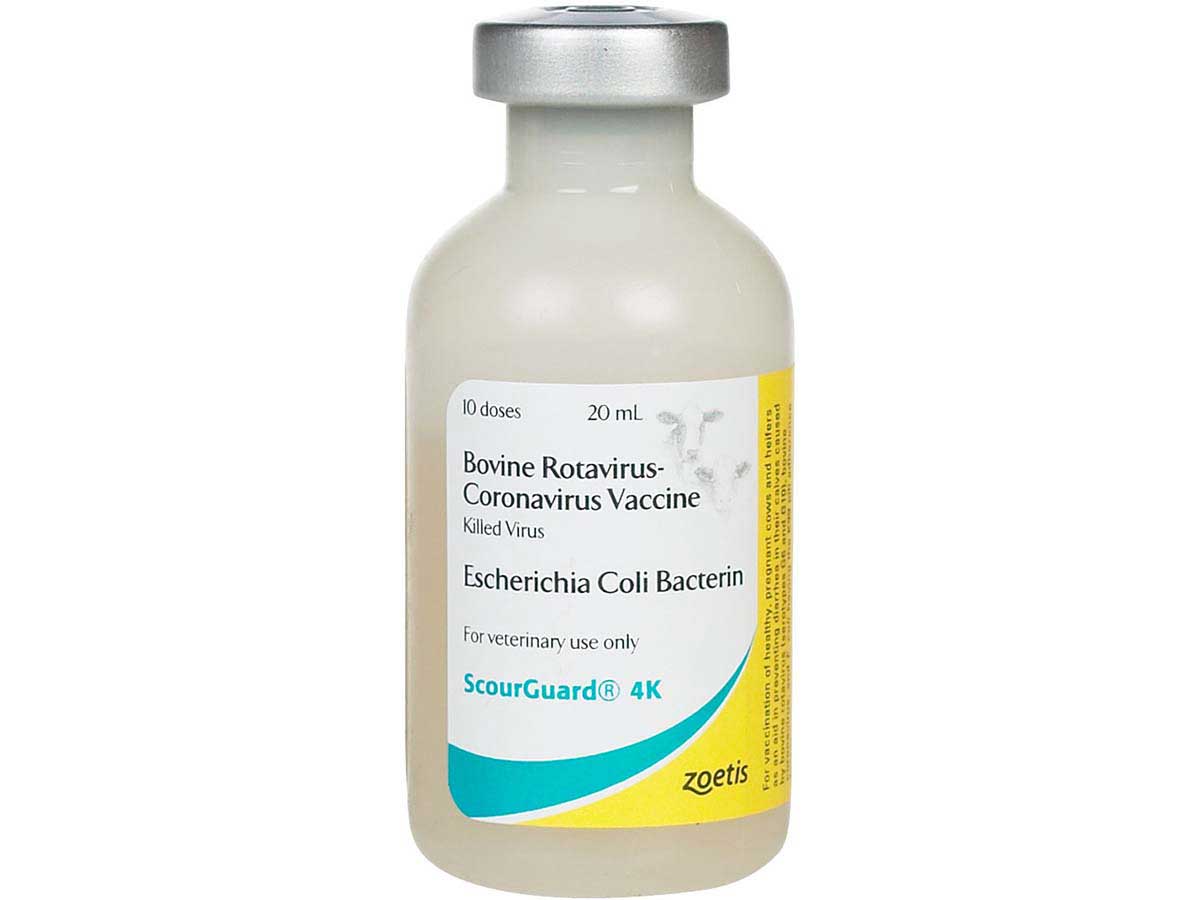ScourGuard 4K Cattle Vaccine Zoetis Animal Health - Valley Vet Supply ...