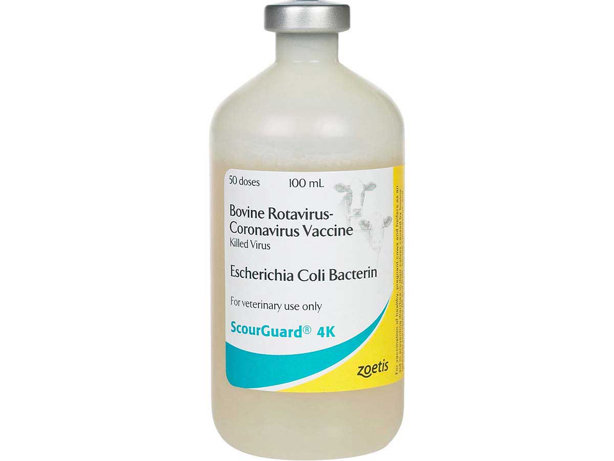 ScourGuard 4K Cattle Vaccine Zoetis Animal Health - Valley Vet Supply ...