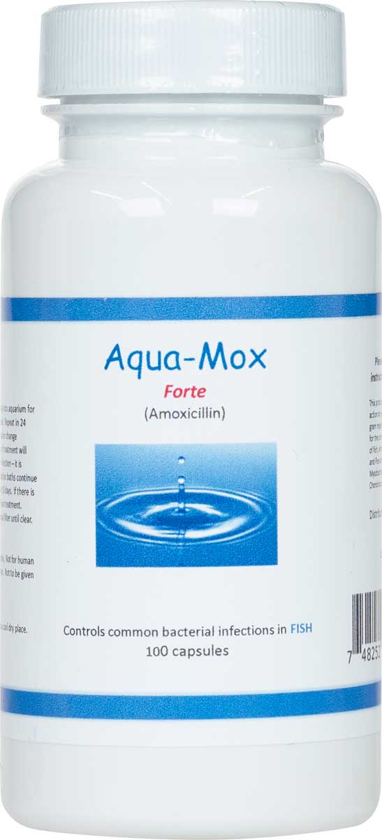 Aqua-Mox Forte Fish Antibiotic Brand May Vary - Antibiotics | Pet
