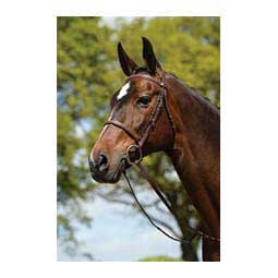 Raised Fancy Stitched Bridle Brown - Item # 36658