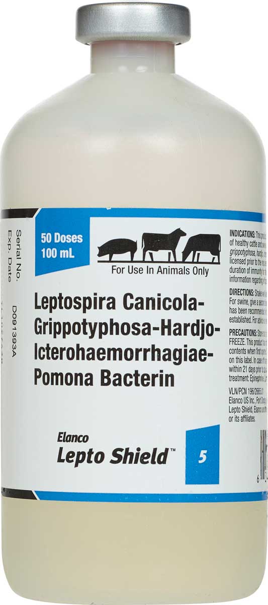 lepto-shield-5-cattle-swine-vaccine-elanco-animal-health-breeding