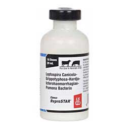 ReproSTAR L5 HB Cattle Vaccine 10 dose - Item # 36815
