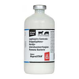 ReproSTAR L5 HB Cattle Vaccine 50 dose - Item # 36816