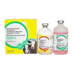 Pyramid 5 + Presponse SQ Cattle Vaccine 50 ds - Item # 36818