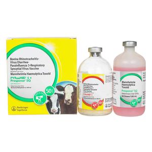 Pyramid 5 + Presponse SQ Cattle Vaccine 50 dose - Item # 36818