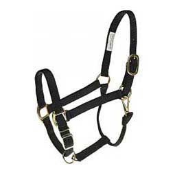 <h2>Nylon Horse Halter Savings!</h2>