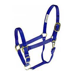 Nylon 1-in Horse Halter Blue - Item # 36963