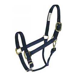 Nylon 1-in Horse Halter Navy - Item # 36963