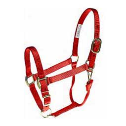 Nylon 1-in Horse Halter Red - Item # 36963