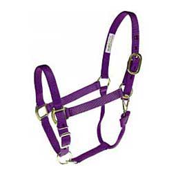 Nylon 1-in Horse Halter Purple - Item # 36963