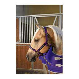 Nylon 1-in Horse Halter Purple - Item # 36963