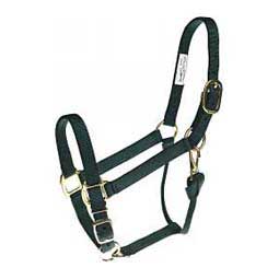 Nylon 1-in Horse Halter Hunter - Item # 36963