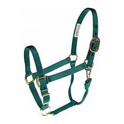Nylon 1-in Horse Halter Teal - Item # 36963