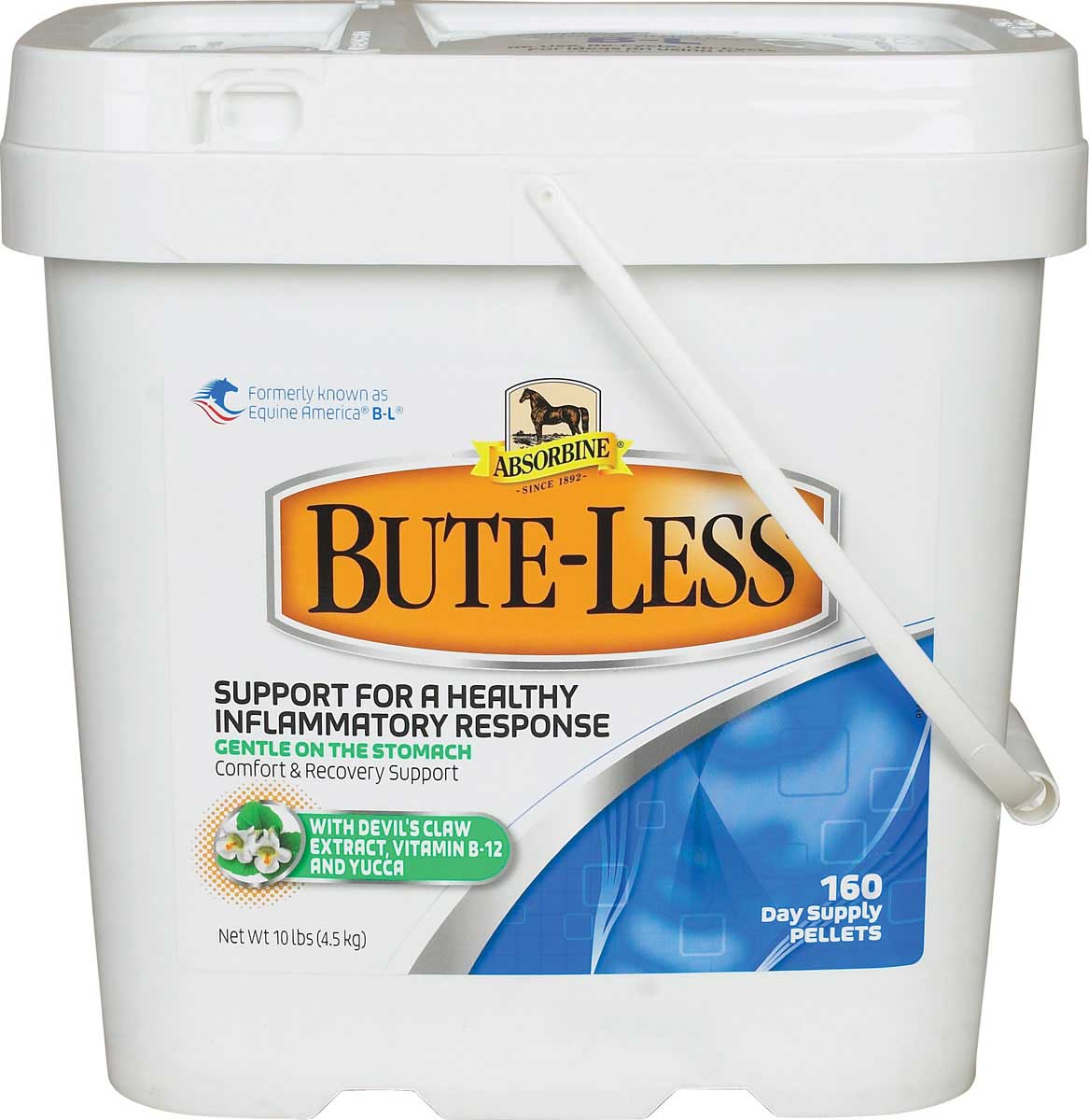 Can You Give Dogs Bute For Pain